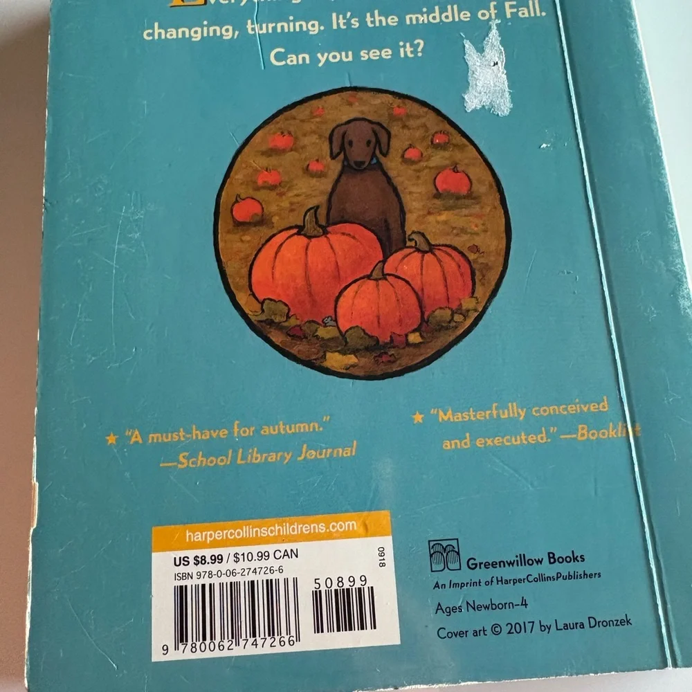 In the Middle of Fall Book